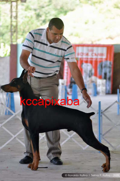 Clique sobre a foto para fechar